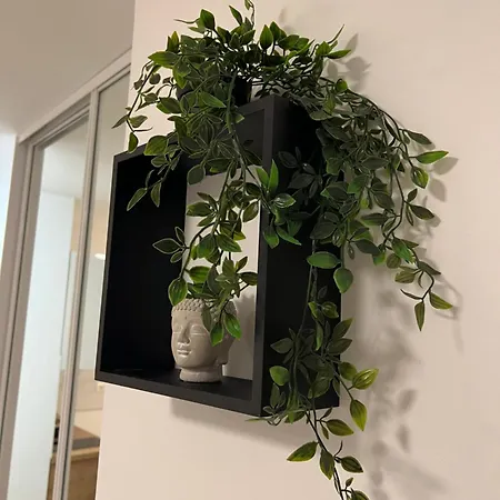 Apartment 54